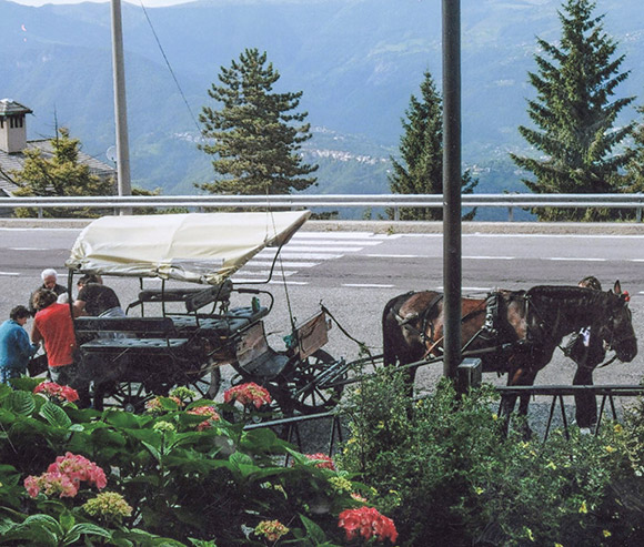 Vacanza e soggiorni terza età - Primula Hotel