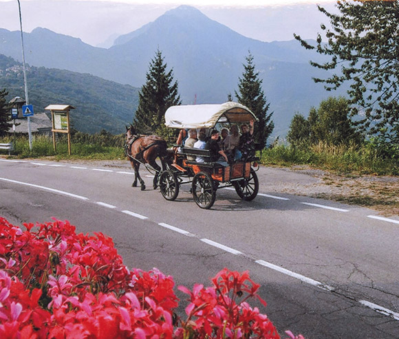 Vacanza e soggiorni terza età - Primula Hotel