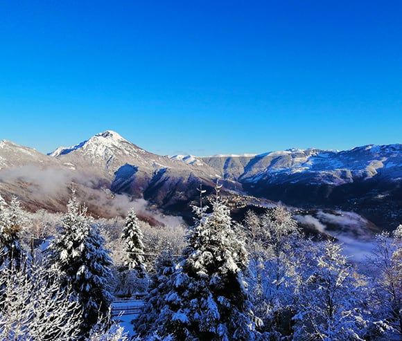 Vacanza e soggiorni terza età - Primula Hotel