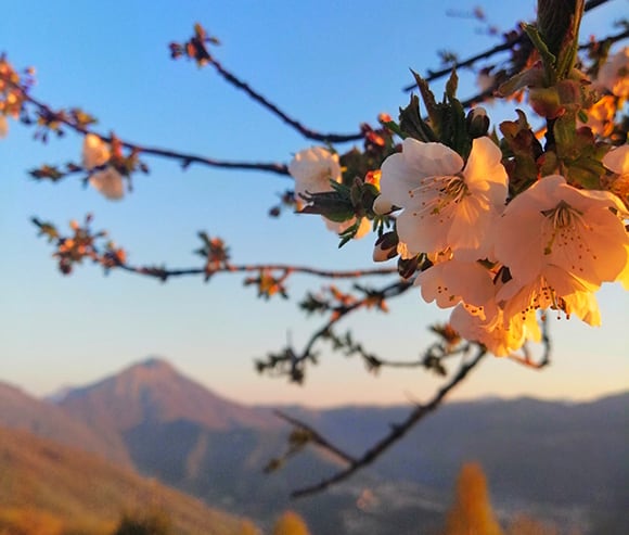 Vacanza e soggiorni terza età - Primula Hotel