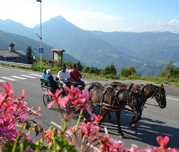 Vacanza e soggiorni terza età - Primula Hotel